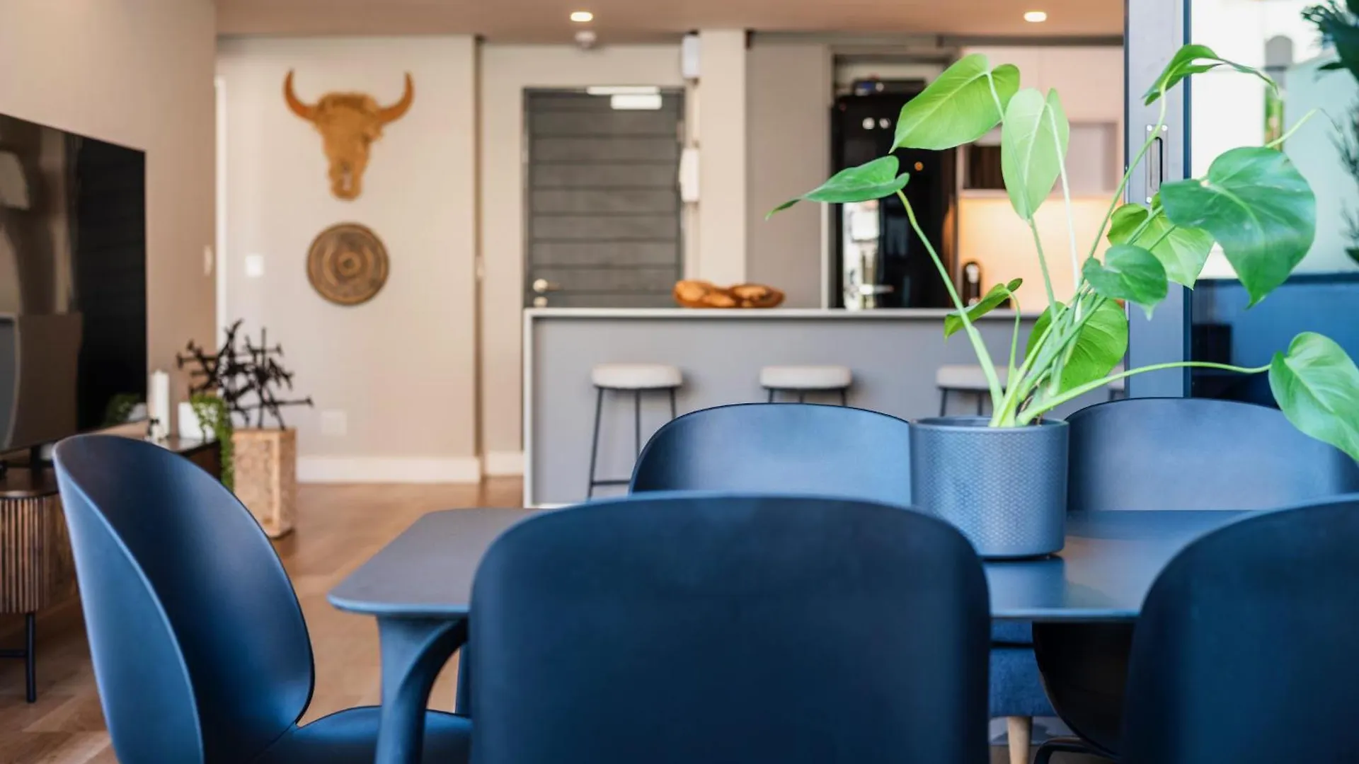 Casa On Bantry By Totalstay Cape Town South Africa